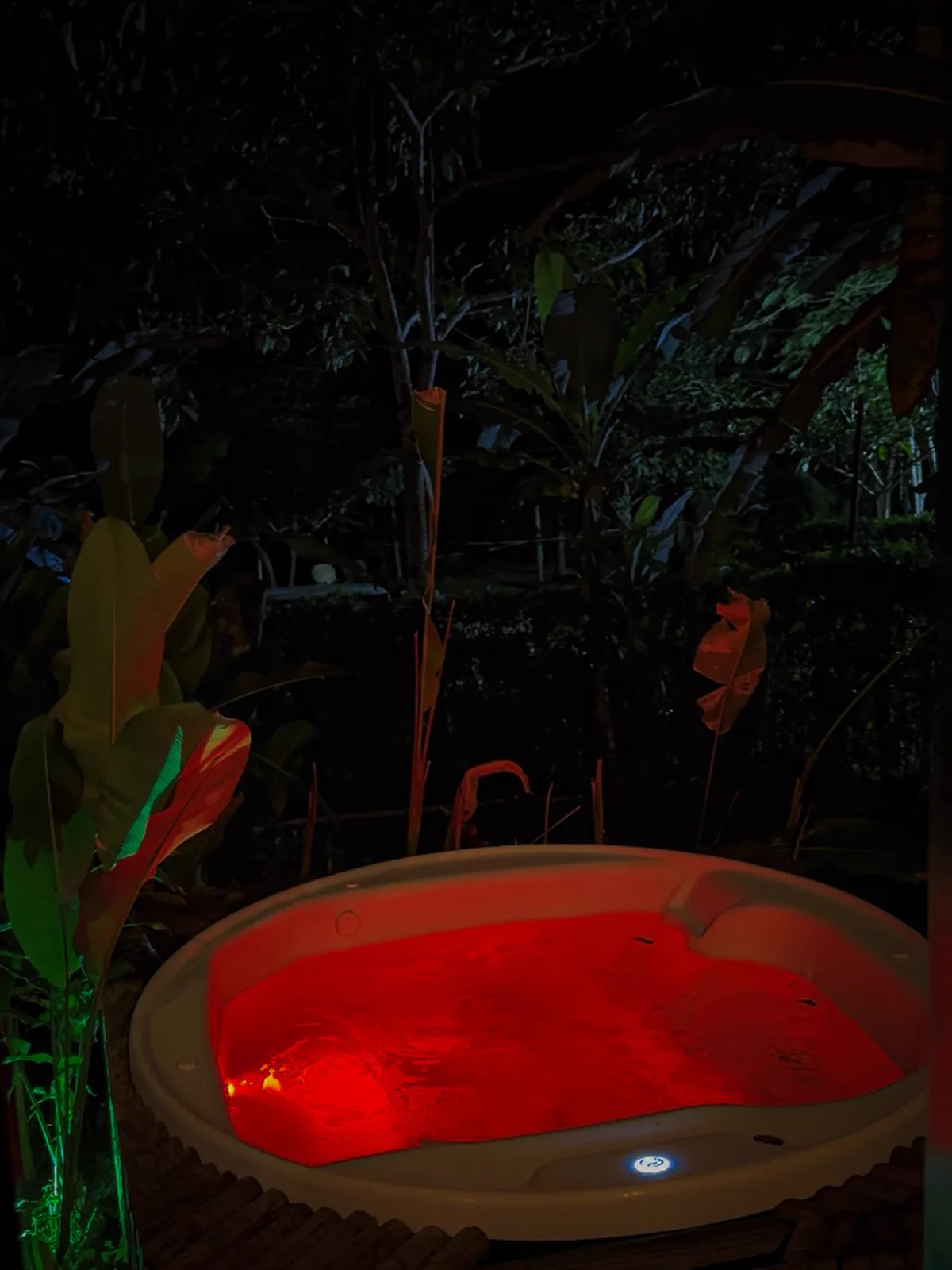 Jacuzzi Aquecida no Jardim